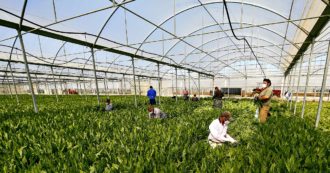 Lavoratori stranieri, la promessa mancata della regolarizzazione: dopo un anno esaminato il 12,7% delle domande. Le storie: “Illusi dalla legge”