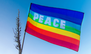 Foto della bandiera della Pace